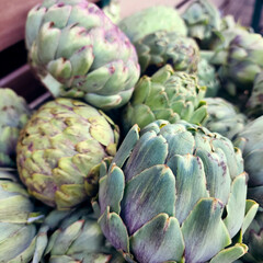 Obraz premium Artichoke, variety of a species of thistle cultivated as food. Background from artichokes.