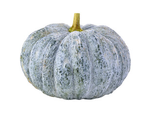 Green pumpkin isolated on transparent png