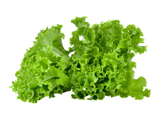 Fresh green lettuce isolated on transparent png