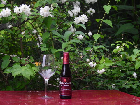 Rodenbach Alexander red beer in a Russian garden - Aimusovo, Russia, July 2023