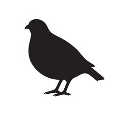 Fototapeta premium quail silhouette