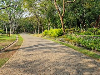 walkway in the park with a lawn decorated with bright green trees And there is a garden as a flower bed. and there is a big tree as wallpaper