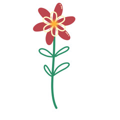 Botanical flower doodle