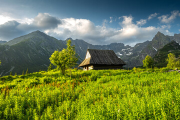 Mountain cabin in lush green valley