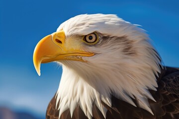 American bald Eagle with blue sky. Eagle. Generative Ai