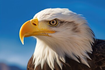 Obraz premium American bald Eagle with blue sky. Eagle. Generative Ai