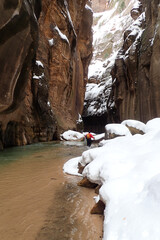 Hiker in the Virgin River in winter at the Narrows in Zion National Park, Utah
