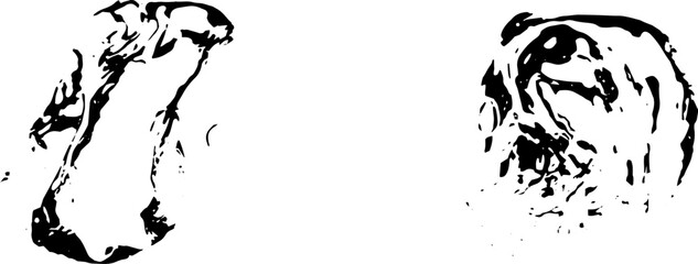 Rustic grunge vector texture with grain and stains. Abstract noise background. Weathered surface. Dirty and damaged. Detailed rough backdrop. Vector graphic illustration with transparent white. EPS10.