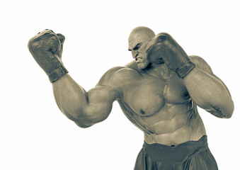 Obraz premium boxing man in action