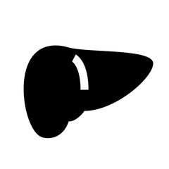 人体、肝臓を表す塗りつぶしスタイルのアイコン