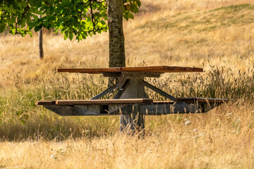 Picnic table amongst dry grasses in public park