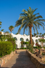 Fototapeta na wymiar Beautiful view of palm trees, white buildings and stone path at tropical beach resort town Sharm El Sheikh, Egypt