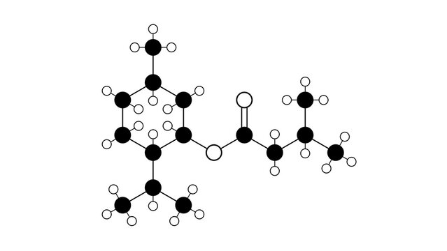 menthyl isovalerate molecule, structural chemical formula, ball-and-stick model, isolated image validolum