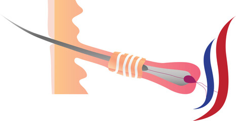 Schematic template drawing of a human hair structure on white background. Eyelash Extension and Hair styling Guide. Infographic vector Tips and tricks poster. Direction schemes and look template