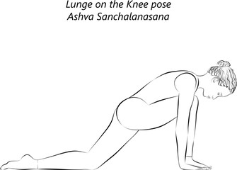 Sketch of young woman practicing yoga, doing Lunge on the Knee pose or Equestrian pose. Horse pose. Ashva Sanchalanasana. Arm Leg Support and Balancing. Beginner. Isolated vector illustration.