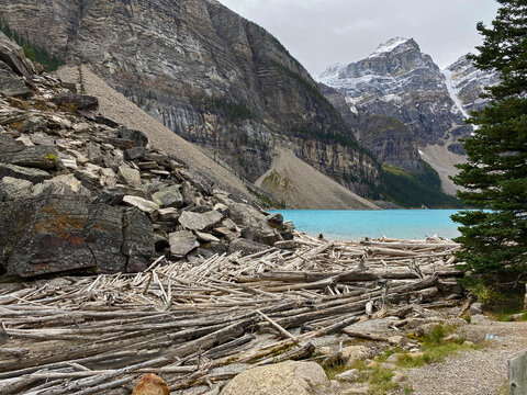 Moraine Lake Alberta driftwood on a grey day 