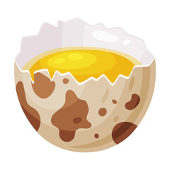 Raw Cracked Quail Egg with Shell and Yellow Yolk Vector Illustration