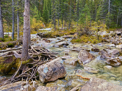 Creek running into Moraine Lake Alberta