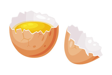 Raw Uncooked Egg with Cracked Brown Shell Vector Illustration