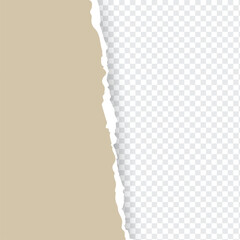 Ripped out torn paper sheet edge background