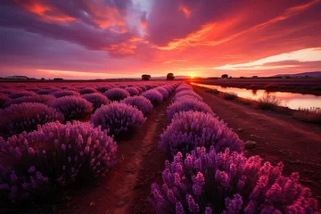Fototapete Bordeaux A lavender field with a pink sunset and sky. (Generative AI)