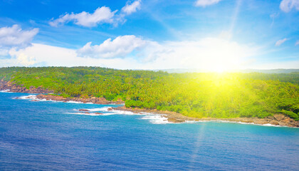 Tropical beach with palm trees and bright sun. Wide photo. View from above.