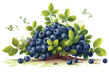 Blueberries in tree white background vector art Blueberry berries with green leaves on branch tree