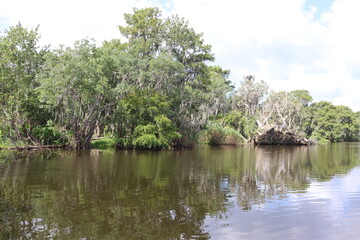Open river with tree line