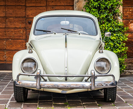 old volkswagen beetle - vw