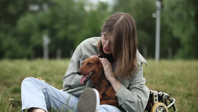 Loving owner taking care of a paralyzed dog in a wheelchair