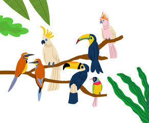 Different type of exotic birds. Vector flat cartoon graphic design illustration. Vector illustration