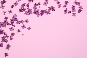 Fototapeta na wymiar Beautiful lilac flowers on pink background, flat lay. Space for text