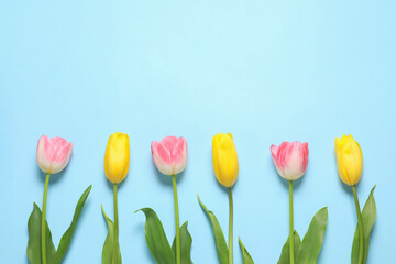 Beautiful colorful tulips on light blue background, flat lay with space for text