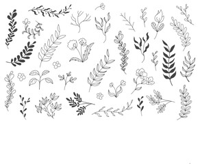 A set of branches with leaves and flowers on isolated background.. Decorative Elements for Decoration. Line art