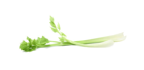 Fototapeta premium Fresh green celery stems isolated on white