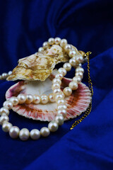 Women's jewelry in the form of natural pearl beads on blue velvet