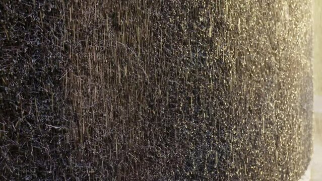 Graduation tower. Drops of brine flowing down the blackthorn wall illuminated by the setting sun.