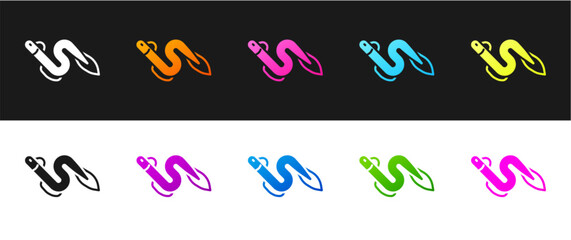 Set Eel fish icon isolated on black and white background. Vector
