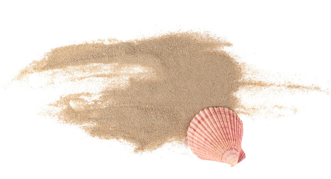 Sea shell in sand pile isolated on white, top view