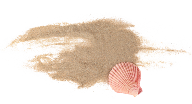Sea shell in sand pile isolated on white, top view