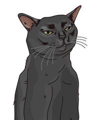 ilustraci√≥n vectorial del meme del gato negro disociado - obrazy, fototapety, plakaty