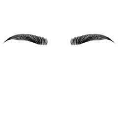 Eyebrows realistic brow sketch, cartoon style. Vector black and white illustration.