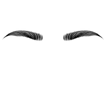 Eyebrows realistic brow sketch, cartoon style. Vector black and white illustration.