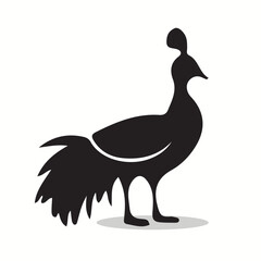 Cassowary silhouettes and icons. Black flat color simple elegant Cassowary animal vector and illustration.	