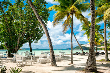 Tropical beach with palm trees, crystal water and white sand. most beautiful tropical beaches - Seychelles, Praslin island