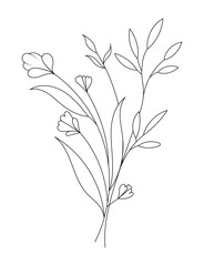 Hand drawn wild field flora, flowers, leaves, herbs, plants, branches. Minimal floral botanical line art.  Vector illustration for logo or tattoo, invitations, save the date card.