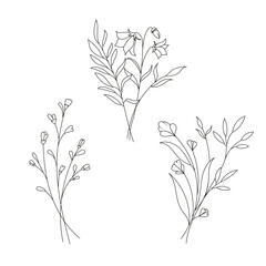 Fototapeta na wymiar Hand drawn wild field flora, flowers, leaves, herbs, plants, branches. Minimal floral botanical line art. Vector illustration for logo or tattoo, invitations, save the date card.