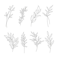 Hand drawn wild field flora, flowers, leaves, herbs, plants, branches. Minimal floral botanical line art.  Vector illustration for logo or tattoo, invitations, save the date card.