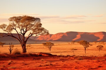 Fototapeta na wymiar a desert landscape with trees