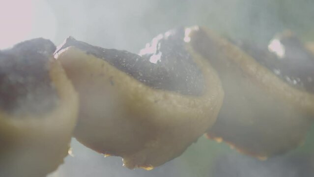 Close up of meat roasting on a barbecue, a lot of smoke, rotating skewer